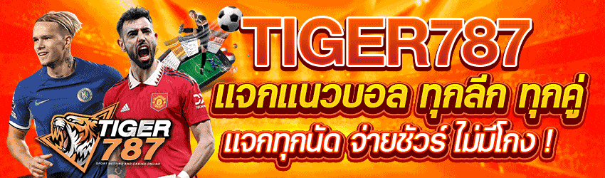 tiger-787